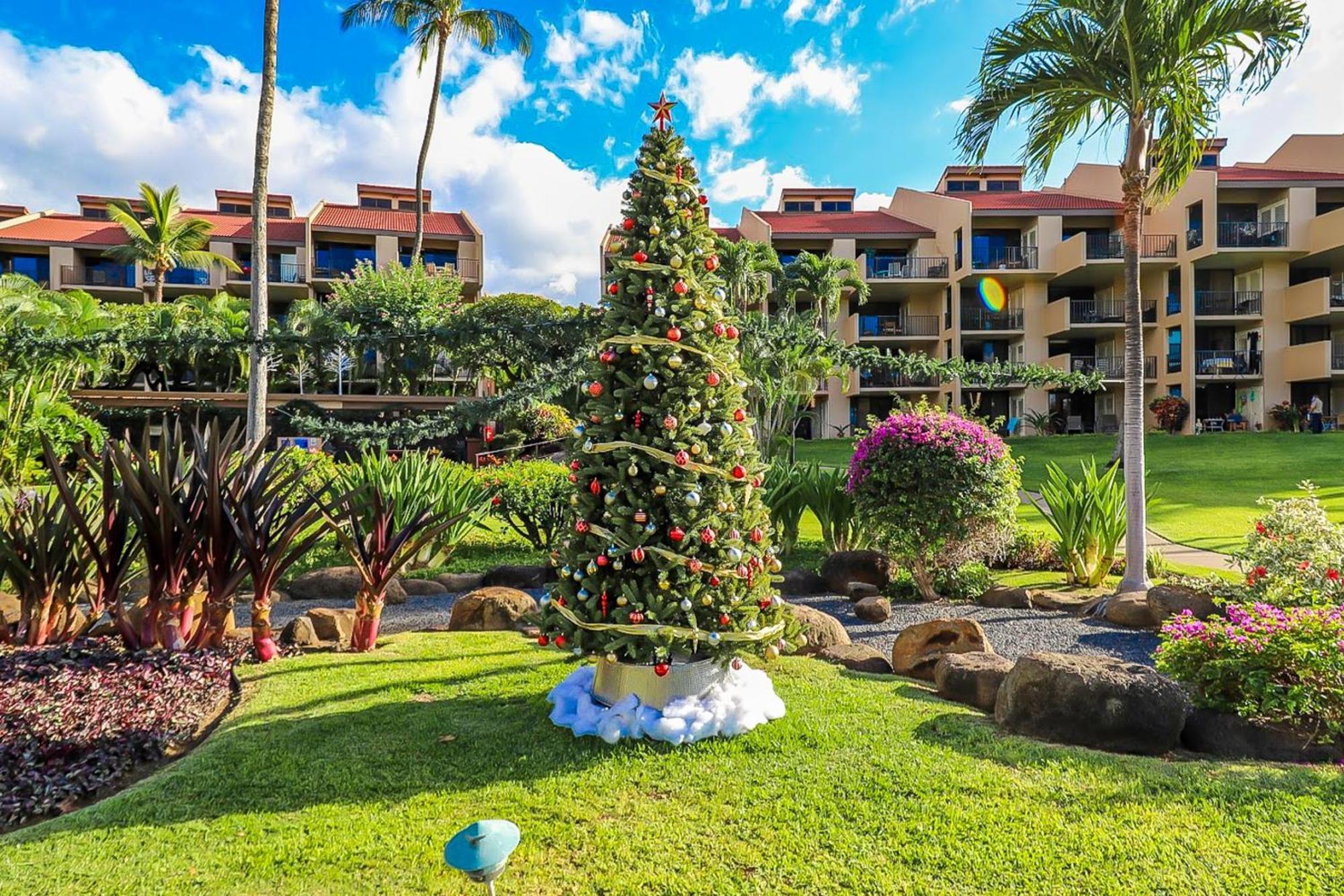 Kamaole Sands Wailea  Cameră foto