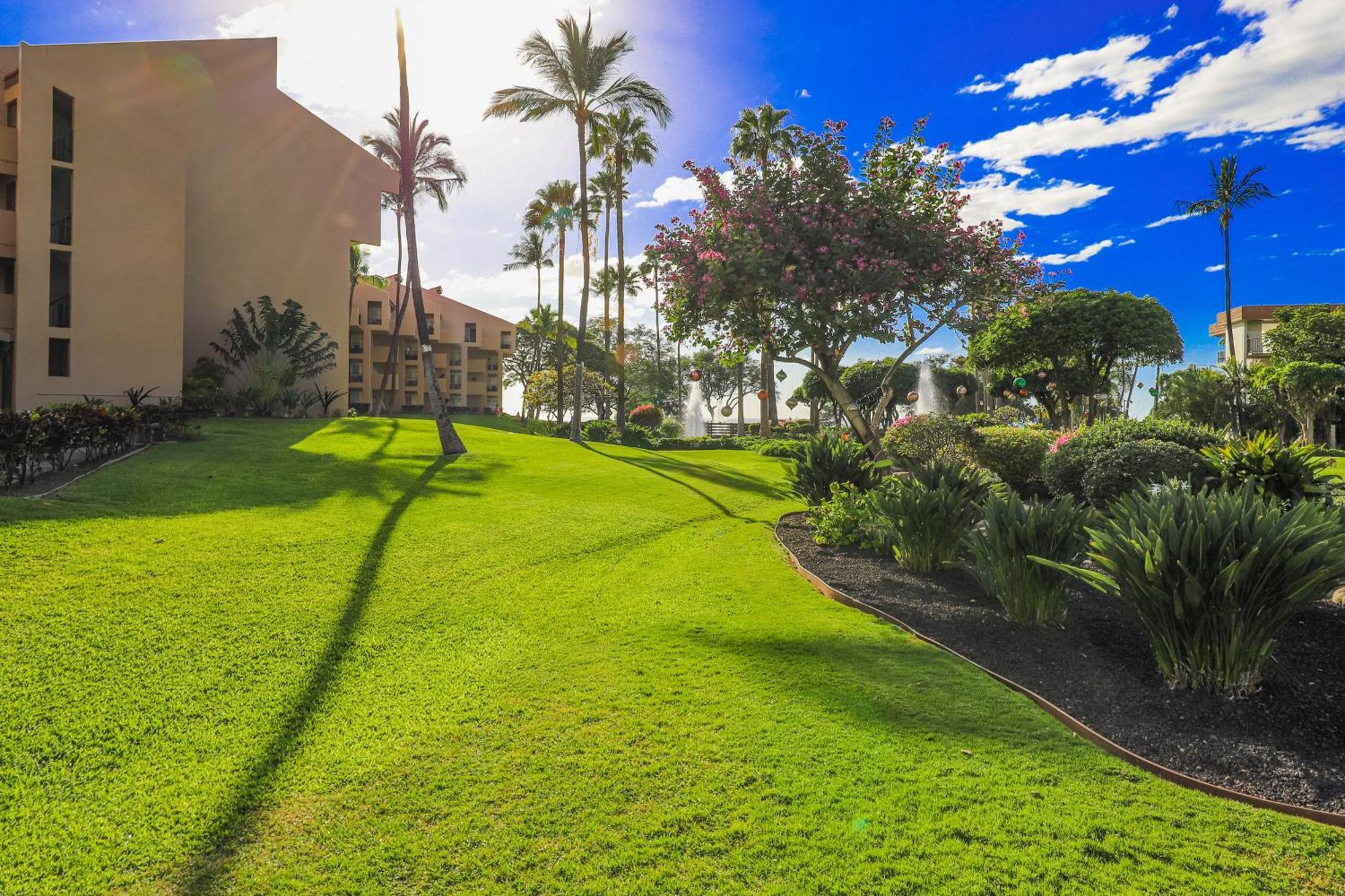Kamaole Sands Wailea  Cameră foto