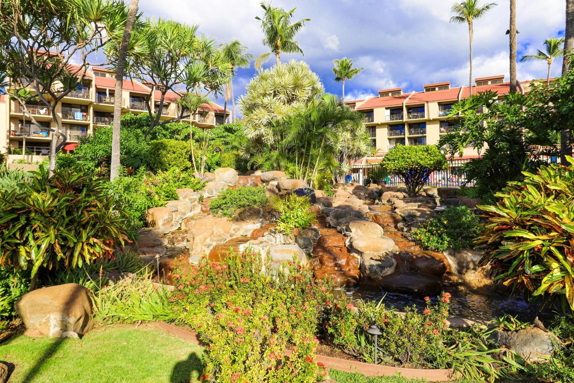 Kamaole Sands Wailea  Cameră foto